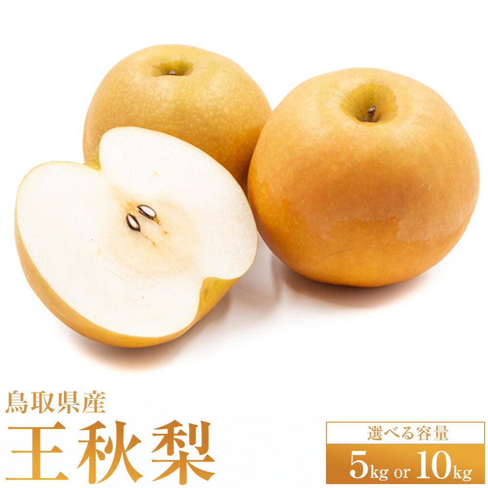 【ふるさと納税】＜選べる容量＞ 梨 王秋 5kg 10kg 鳥取県産 ※2026年10月下旬～11月下旬頃に順次発送予定 | 先行予約 選べる 容量 梨 なし カロリー 果物 フルーツ くだもの 栄養 効能 ビタミン 鳥取県 鳥取 北栄町 おすすめ 人気 送料無料 レビュー キャンペーン実施中
