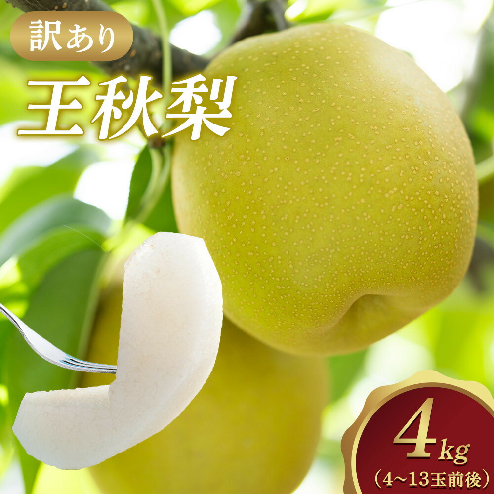 【ふるさと納税】【先行予約】【訳あり】王秋梨 4kg（4～13玉前後）※2026年10月下旬～12月上旬頃に順次発送予定 | 先行予約 梨 なし カロリー 果物 フルーツ くだもの 栄養 効能 ビタミン 鳥取県 鳥取 北栄町 おすすめ 人気 送料無料