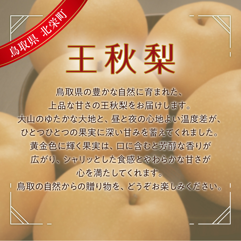 【ふるさと納税】【先行予約】＜選べる容量＞ 梨 王秋梨 3kg 5kg 鳥取県産 ※2026年10月下旬～12月上旬頃に順次発送予定 | 梨 なし ナシ 王秋梨 鳥取県産 新鮮 3キロ 5キロ 先行予約 果物 くだもの フルーツ 旬 北栄町 おすすめ 人気