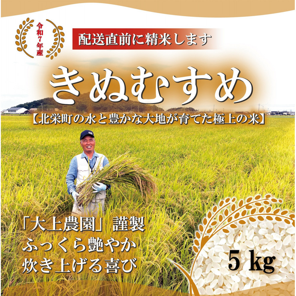 【ふるさと納税】1104.令和7年産 大上農園きぬむすめ精米 5kg | 米 お米 こめ 白米 きぬむすめ ご飯 ごはん 白ごはん 白ご飯 5kg おすすめ 人気 2025年産 令和7年 厳選 国産|鳥取県北栄町