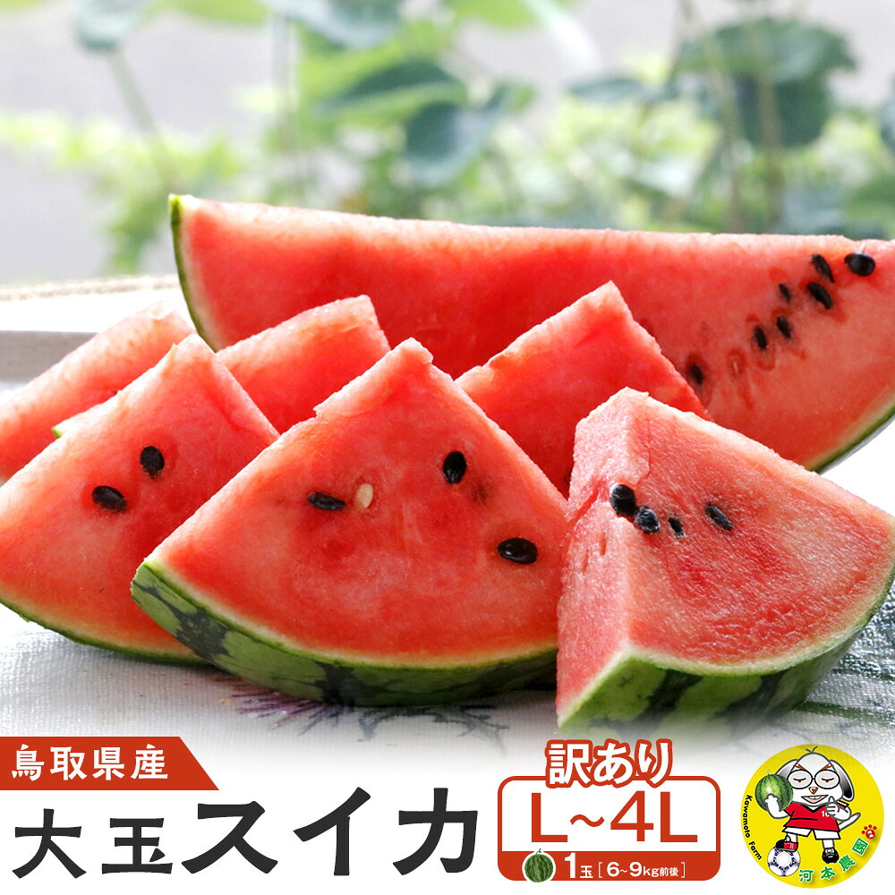 【ふるさと納税】【先行予約】鳥取県北栄町産 大玉スイカ 訳あり 1玉 6-9キロ前後L-4L（こちらの返礼品は、大栄西瓜ではありません） | 西瓜 スイカ 果物 フルーツ 大玉 鳥取県 北栄町 おすすめ 人気 新鮮 訳あり 家庭用 6kg ～ 9kg Lサイズ ～ 4Lサイズ
