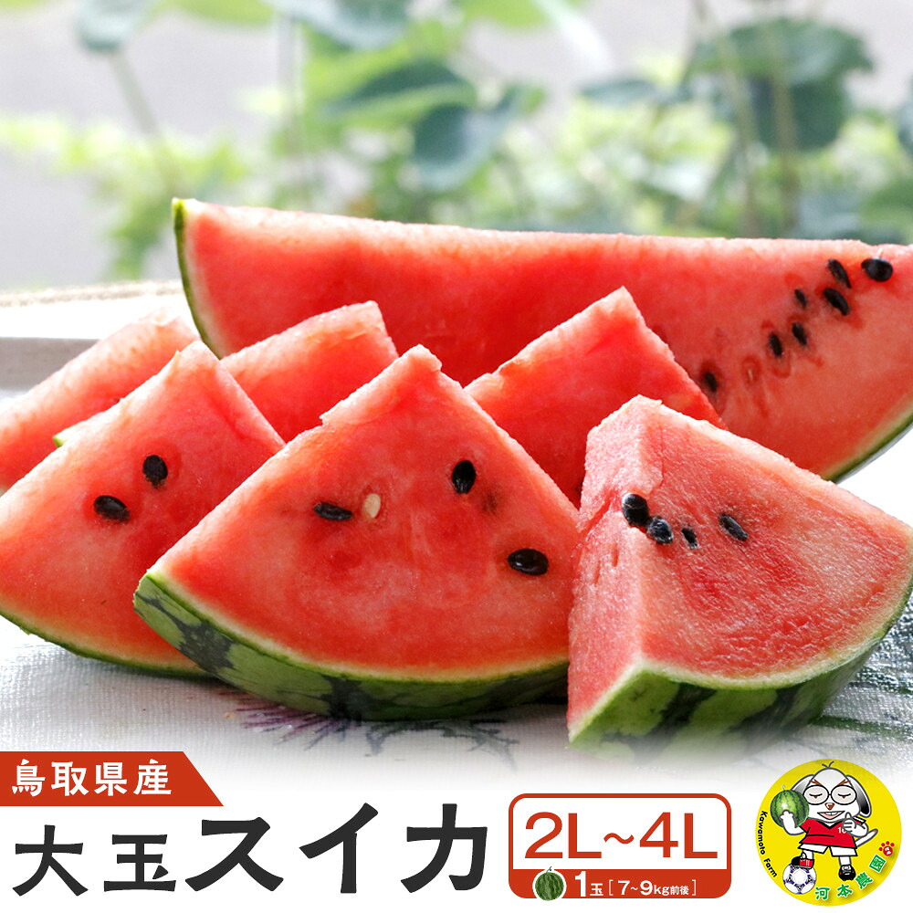 【ふるさと納税】【先行予約】鳥取県北栄町産 大玉スイカ 1玉 7-9キロ前後2L-4Lサイズ（こちらの返礼品は、大栄西瓜ではありません） | 西瓜 スイカ 果物 フルーツ 大玉 鳥取県 北栄町 おすすめ 人気 新鮮 7kg ～ 9kg 2Lサイズ ～ 4Lサイズ