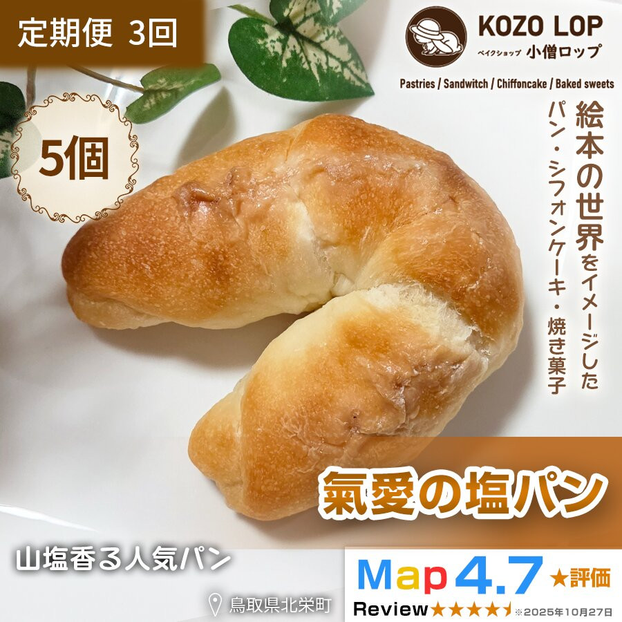 【ふるさと納税】1176.【定期便3ヶ月】山塩香る人気パン 氣愛の塩パン 5個×3回