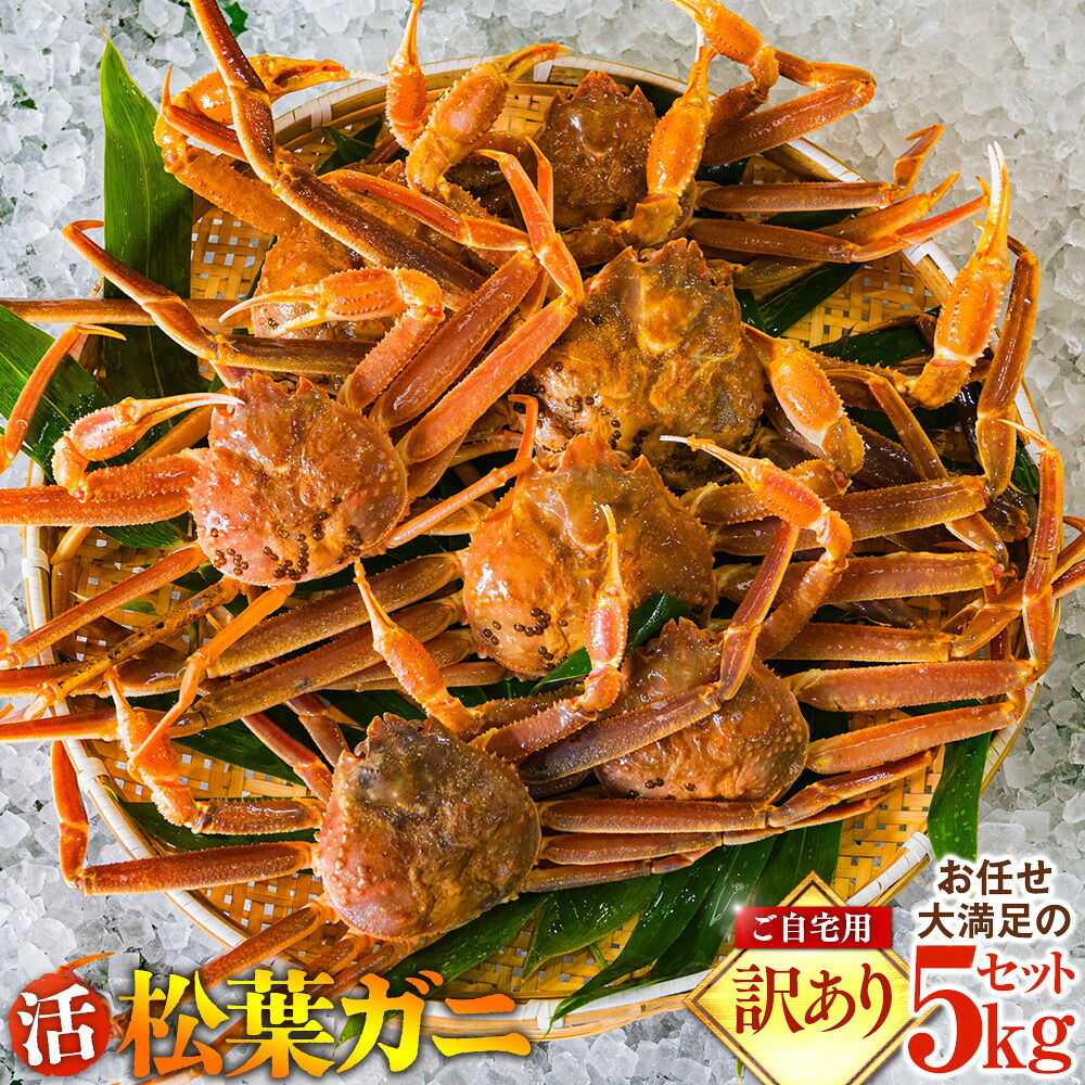 【ふるさと納税】662.ご自宅用 活訳あり松葉ガニ お任せ大満足の5kgセット【着日指定不可】※2026年11月上旬~2027年3月下旬頃に順次発送予定 | 蟹 かに 松葉ガニ 松葉蟹 訳あり 活 カニみそ 5kg 大人数 自宅用 味噌 国産 家庭用 鳥取県産 北栄町 おすすめ 人気|鳥取県北栄町