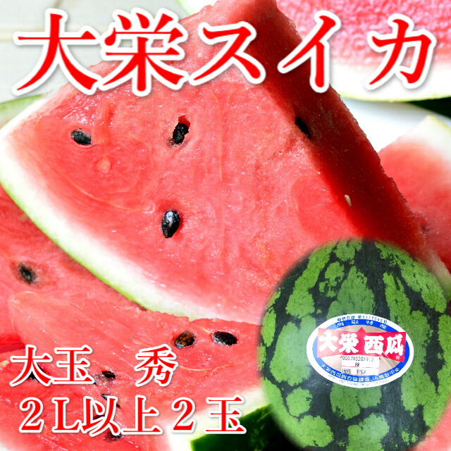 ふるさと納税 大栄西瓜 大珠 御膳上等 玉 21歳次6月読み中旬 7月下旬時点に順次荷送心積り Pasadenasportsnow Com