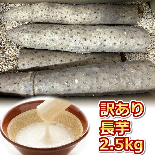 【ふるさと納税】943.≪先行受注≫【訳あり】砂丘長いも2.5kg  長芋 ながいも 鳥取県産≪野菜 やさい≫※11月上旬頃～3月下旬頃に順次発送予定