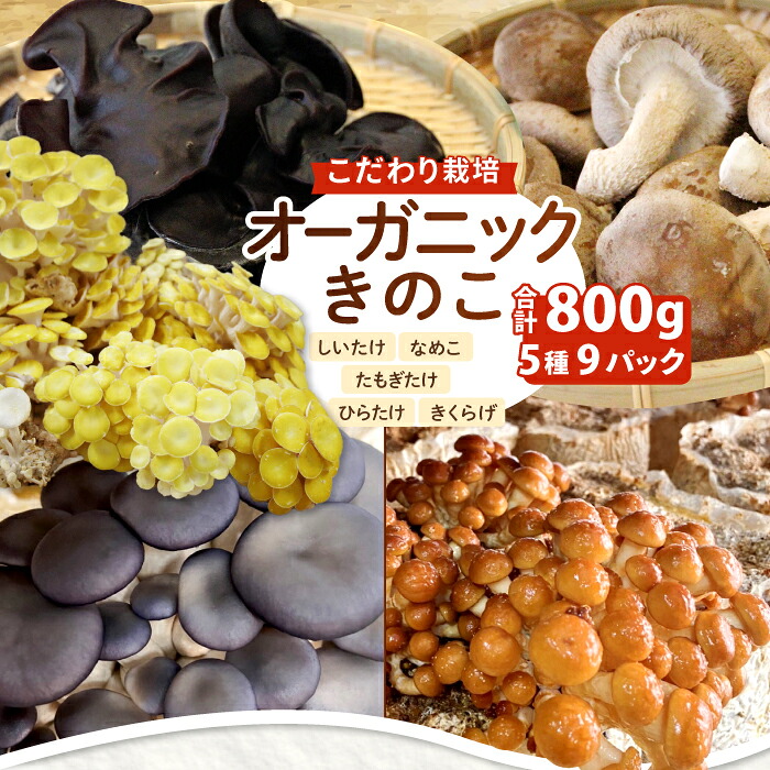 【ふるさと納税】オーガニックきのこバラエティ小セット約800g（5種9パック入）　HO04