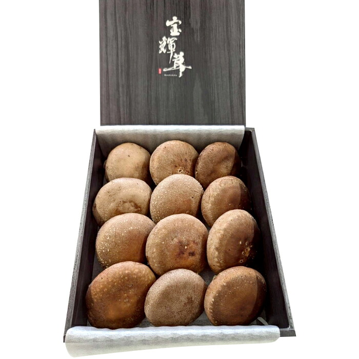 【ふるさと納税】こだわり極めたしいたけ「宝輝茸」 しいたけ シイタケ 椎茸 きのこ キノコ ブランド オーガニック 極上 菌床 宝輝茸 shiitake 鳥取県 日吉津村