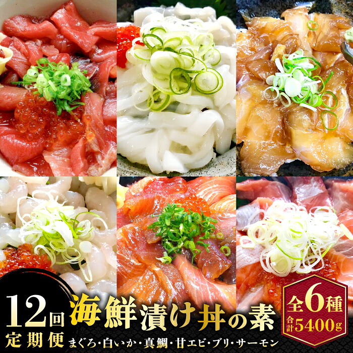 【ふるさと納税】【12回定期便】海鮮漬け丼・昆布締め丼の素 真鯛 サーモンまぐろ 白いか 甘エビ ブリ 丼 素 海鮮丼 12回 1年 コース 定期便 頒布会 ごはんのお供 簡単 時短 ご自宅用 お土産　TY04｜鳥取県日吉津村