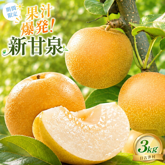 【ふるさと納税】新甘泉3kg箱(鳥取県大山町産梨)【梨 新甘泉 赤秀 先行予約 季節限定 赤梨 3kg 5玉～8玉 なし 贈答用 期間限定 果物 フルーツ くだもの 数量限定】｜鳥取県日吉津村