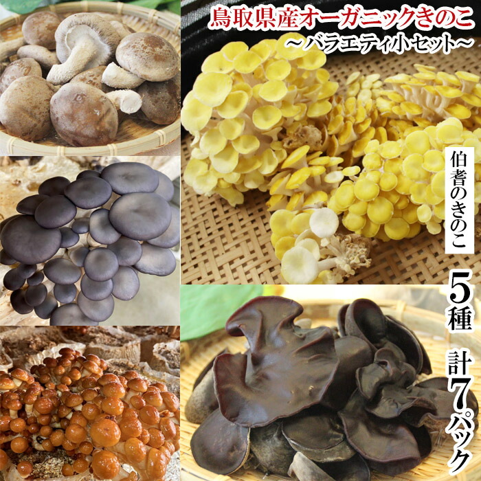 【ふるさと納税】HO04：鳥取県産オーガニックきのこバラエティ小セット（5種７パック）