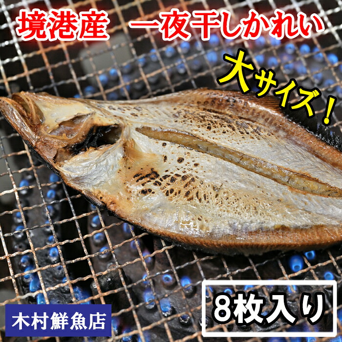 【ふるさと納税】境港産一夜干しかれい(8枚) 一夜干し いちやぼし かれい カレイ エテカレイ 干物 干もの ひもの 乾物 境港 ご当地 ギフト プレゼント ご自宅用 鳥取 日吉津村 KI06|鳥取県日吉津村