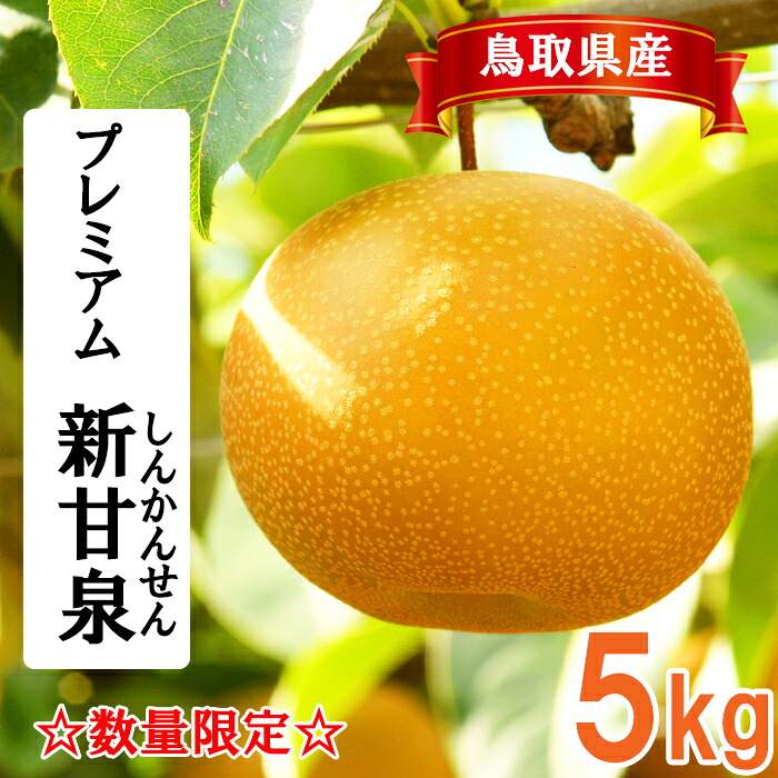 【ふるさと納税】プレミアム新甘泉　5kg前後 21,000円