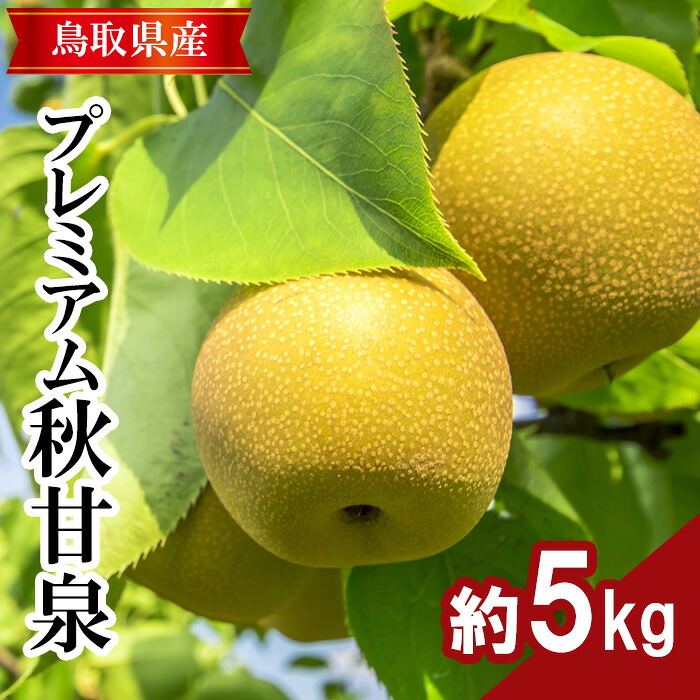 【ふるさと納税】プレミアム秋甘泉 5kg前後