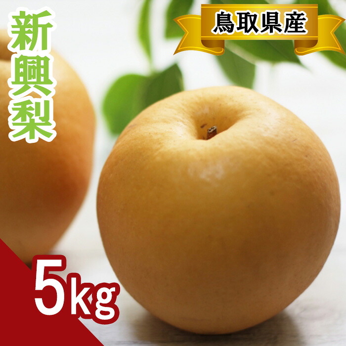 【ふるさと納税】新興梨　5kg