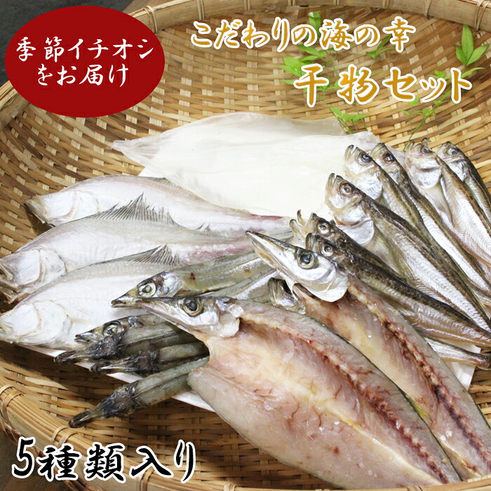 【ふるさと納税】こだわりの海の幸干物セット 干物 乾物 旬の魚 おまかせ 詰め合わせ セット 日本海 境港 ご当地 ギフト プレゼント ご自宅用　EY01｜鳥取県日吉津村