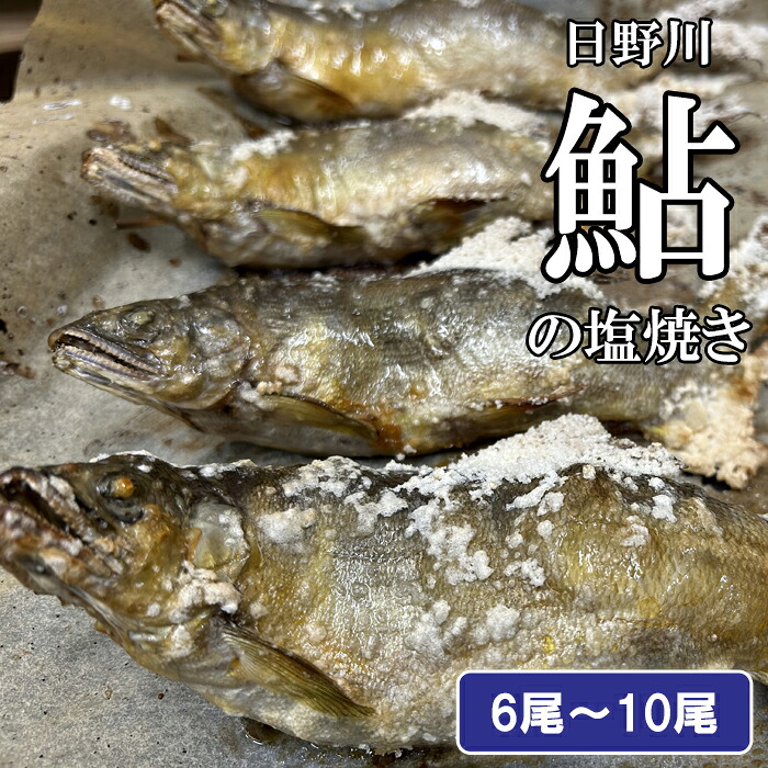 【ふるさと納税】鮎の塩焼き アユ 塩焼き 600g~700g 6尾~10尾 鳥取県産 日吉津村 冷凍 EY07