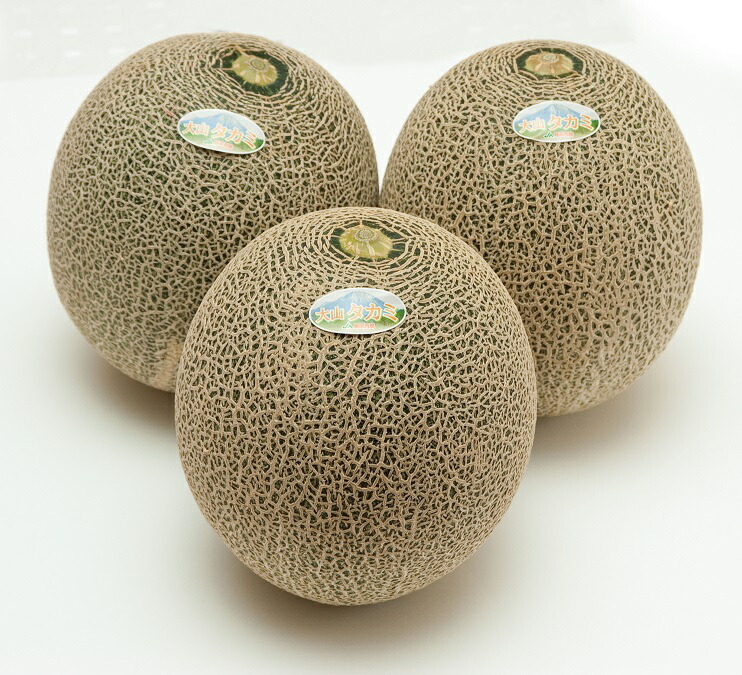 【ふるさと納税】AS-01　貴味（タカミ）メロン 3玉【6月中旬～7月中旬発送】限定 限定品 糖度高い 鳥取県 鳥取県産 大山町 大山 お土産 返礼品  国産 お取り寄せ ご当地