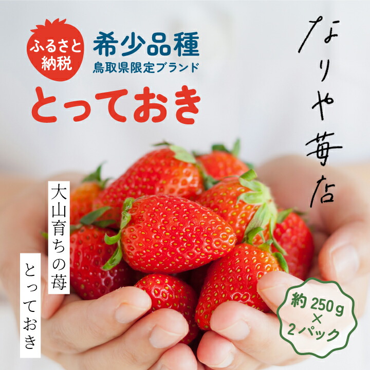 【ふるさと納税】MI-01　【希少品種・鳥取県限定ブランド】とっておき　苺（約500g）いちご イチゴ フルーツ 果物 鳥取県 鳥取県産 大山町 大山 お土産 返礼品  国産 ご当地【2025年1月以降発送】