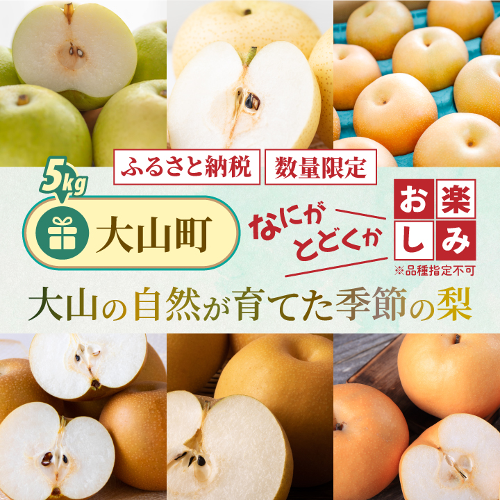 楽天市場】【ふるさと納税】王秋(おうしゅう)梨(5kg)【発送 楽天市場】【ふるさと納税】王秋(おうしゅう)梨(5kg)【発送