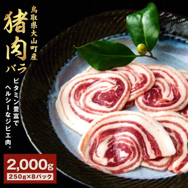 【ふるさと納税】GB-08　猪肉　バラ　2kg（250g×8パック）   ジビエ 肉 お肉 鳥取県 鳥取県産 大山町 大山 お土産 返礼品 国産 お取り寄せ ご当地