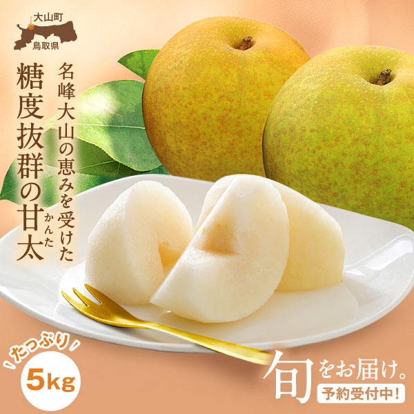 【ふるさと納税】YN-04 鳥取県産和ナシ 甘太梨5kg なし 梨 和梨 和なし 高糖度 新品種 甘い 鳥取県 鳥取県産 大山町 大山 お土産 返礼品  国産 お取り寄せ ご当地