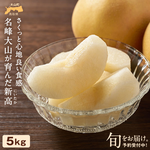【ふるさと納税】YN-03 鳥取県産和ナシ　新高梨5kg なし 梨 和梨 和なし 大玉 甘い 鳥取県 鳥取県産 大山町 大山 お土産 返礼品  国産 お取り寄せ ご当地