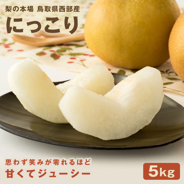 【ふるさと納税】YN-07　にっこり梨　5kg　なし  鳥取県 鳥取県産 大山町 大山 お土産 返礼品  国産 お取り寄せ ご当地