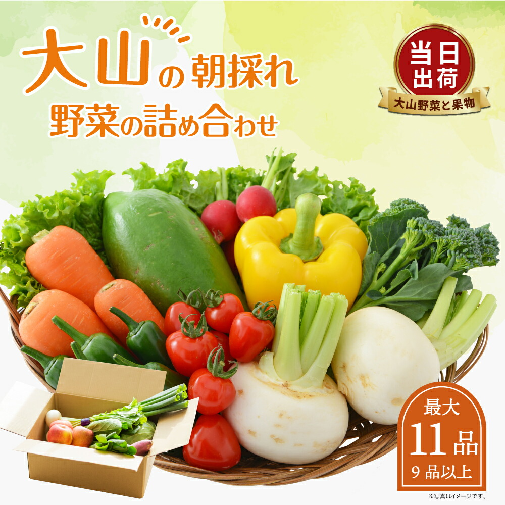 【ふるさと納税】MS-02 新鮮朝採れ野菜セット 野菜詰め合わせ 野菜 生野菜 野菜・果物・加工品 朝どれ野菜 野菜セット 詰め合わせ １０から１５種類 新鮮 鳥取県 鳥取県産 大山町 大山 サラダ 常温保存 くだもの やさい 野菜加工品 バラエティセット 料理
