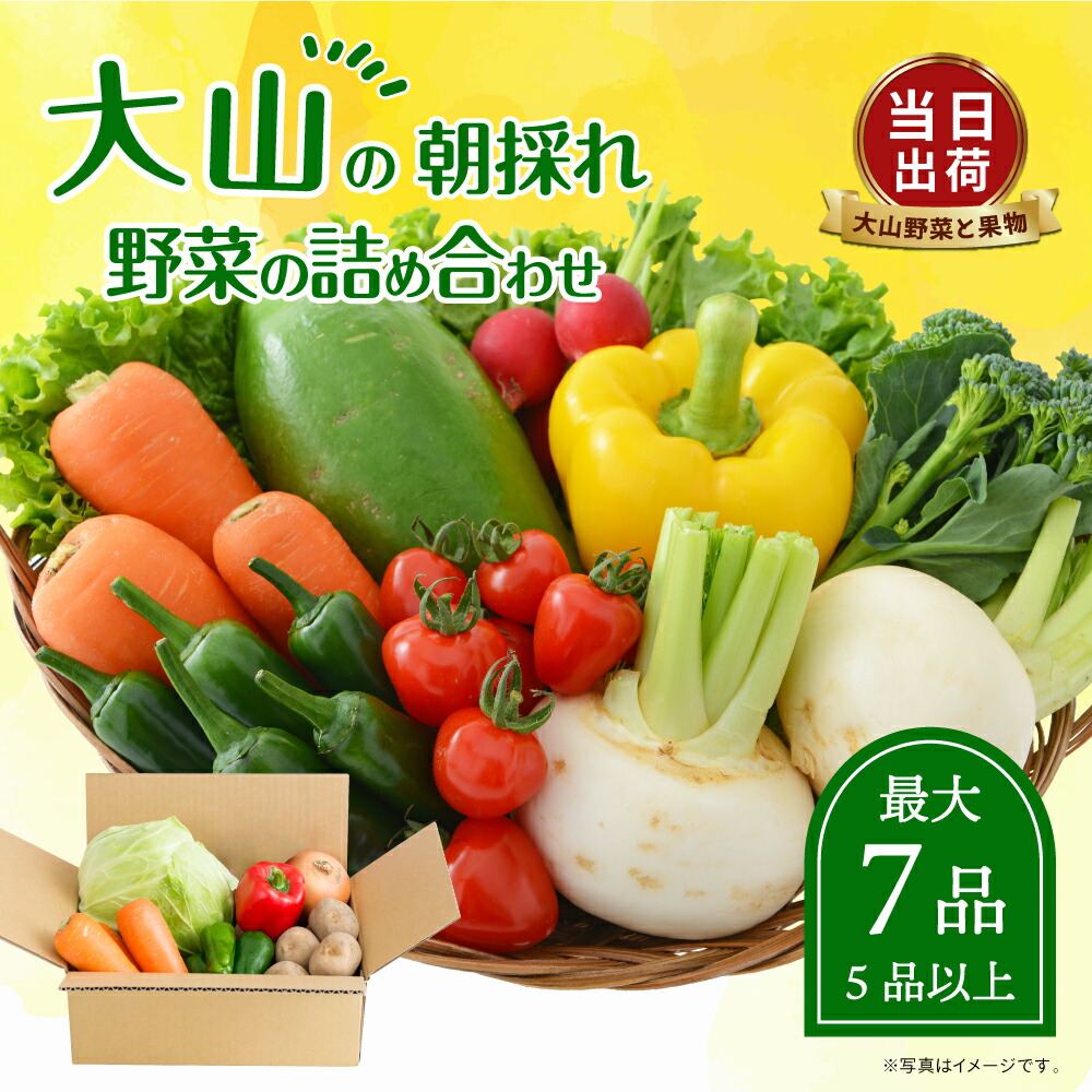 【ふるさと納税】MS-01 新鮮朝採れ野菜　お手ごろセット 野菜詰め合わせ 野菜 生野菜 果物・加工品 朝どれ野菜 野菜セット 詰め合わせ 野菜加工品 バラエティセット 料理 新鮮 鳥取県 鳥取県産 大山町 大山 サラダ 常温保存 くだもの やさい ６種類以上