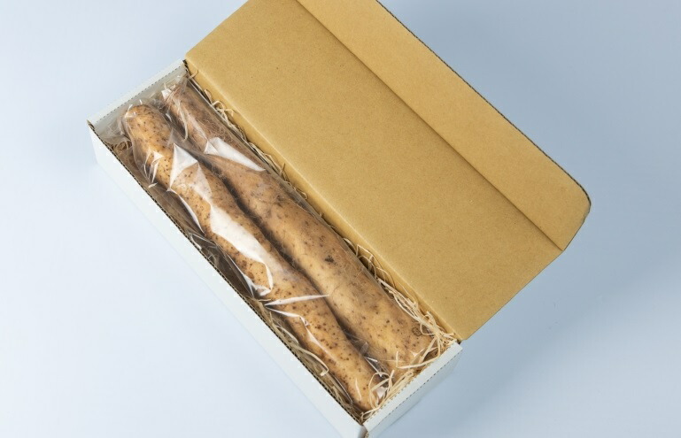 【ふるさと納税】MS-06 大山産自然薯 500g       やまいも いも 自然 美味しい こだわり 鳥取県 鳥取県産 大山町 大山 お土産 返礼品  国産 お取り寄せ ご当地【11月以降出荷】