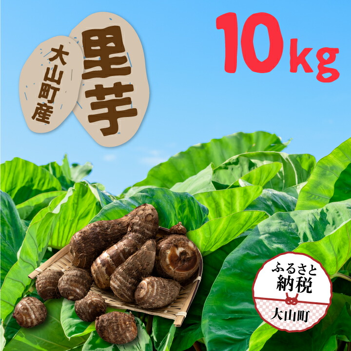 【ふるさと納税】TY-03 大山町産里芋 鳥取県 鳥取県産 大山町 大山 お土産 返礼品 国産 お取り寄せ ご当地