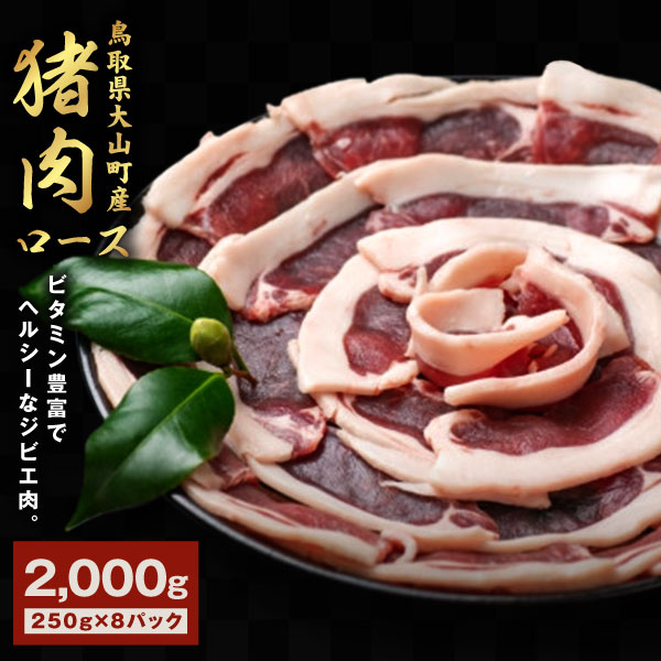 【ふるさと納税】GB-12　猪肉　ロース　2kg（250g×8パック）　肉 お肉 猪肉 スライス 鳥取県 鳥取県産 大山町 大山 お土産 返礼品  国産 お取り寄せ ご当地