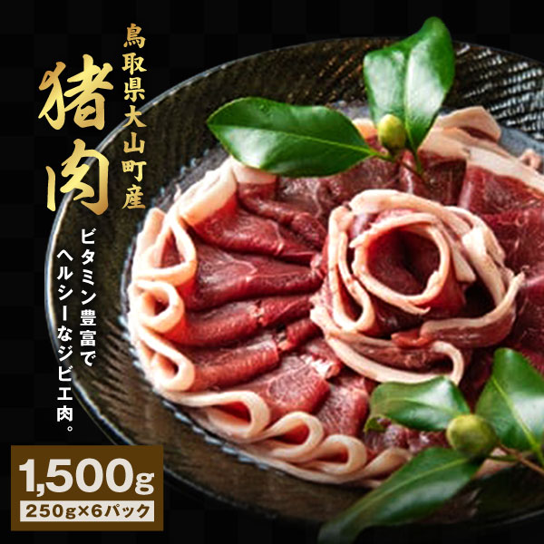 【ふるさと納税】GB-03 猪肉 1.5kg（250g×6パック）　猪肉モモ ウデ スライス 鳥取県 鳥取県産 大山町 大山 お土産 返礼品  国産 お取り寄せ 焼き肉 焼き肉用 ご当地