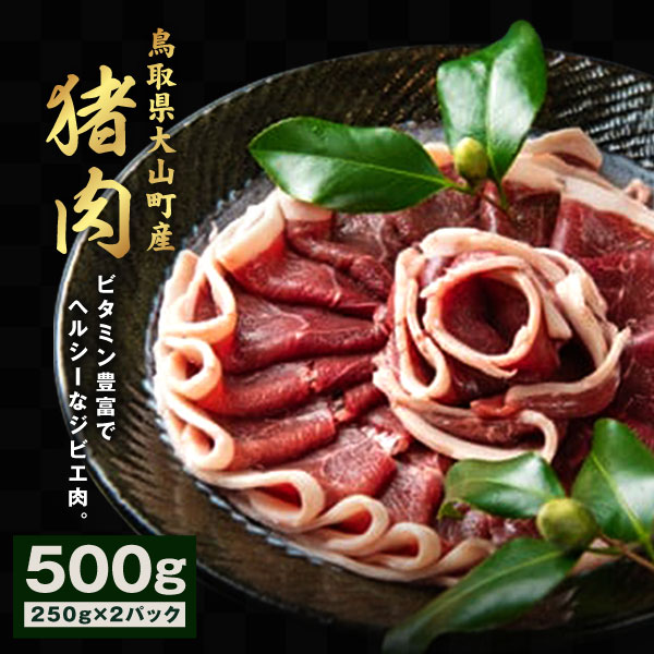 【ふるさと納税】GB-01 猪肉 500g（250g×2パック） 猪肉モモ ウデ スライス ヘルシー 鳥取県 鳥取県産 大山町 大山 お土産 返礼品  焼き肉 焼き肉用 国産 お取り寄せ ご当地