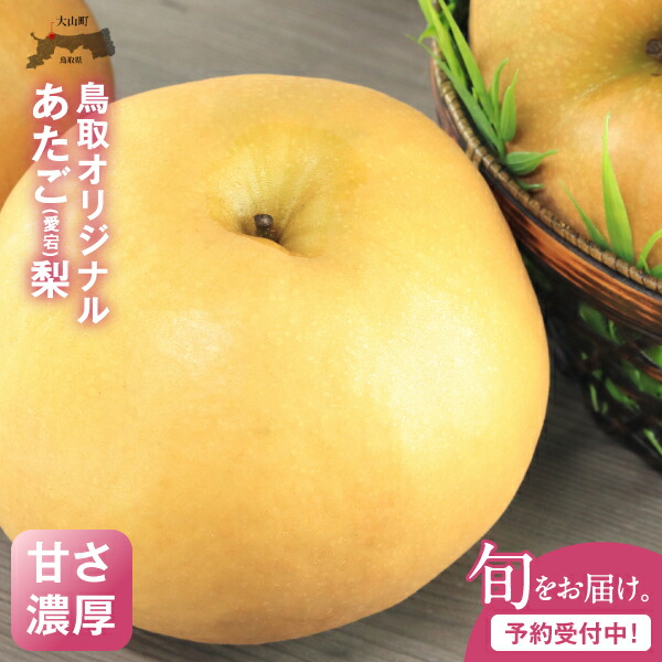 【ふるさと納税】あたご梨 5kg  梨  鳥取県 鳥取県産 大山町 大山 梨 果物 フルーツ ナシ 甘い 果汁 和梨  箱 甘み くだもの 国産  果肉 甘い 返礼品 鳥取梨 なし DS-10
