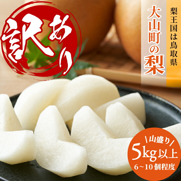 【ふるさと納税】【訳あり梨】新甘泉または秋甘泉　大山町産梨（５ｋｇ）DS-21