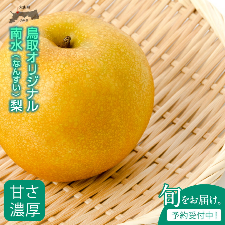 【ふるさと納税】南水 なんすい 梨 5kg入り 鳥取県 鳥取県産 大山町 大山 梨 果物 フルーツ ナシ 甘い 果汁 和梨 箱 甘み くだもの 国産 青秀 赤秀 南水梨 なし 果実 数量限定 常温保存【発送9月中旬】DS-06