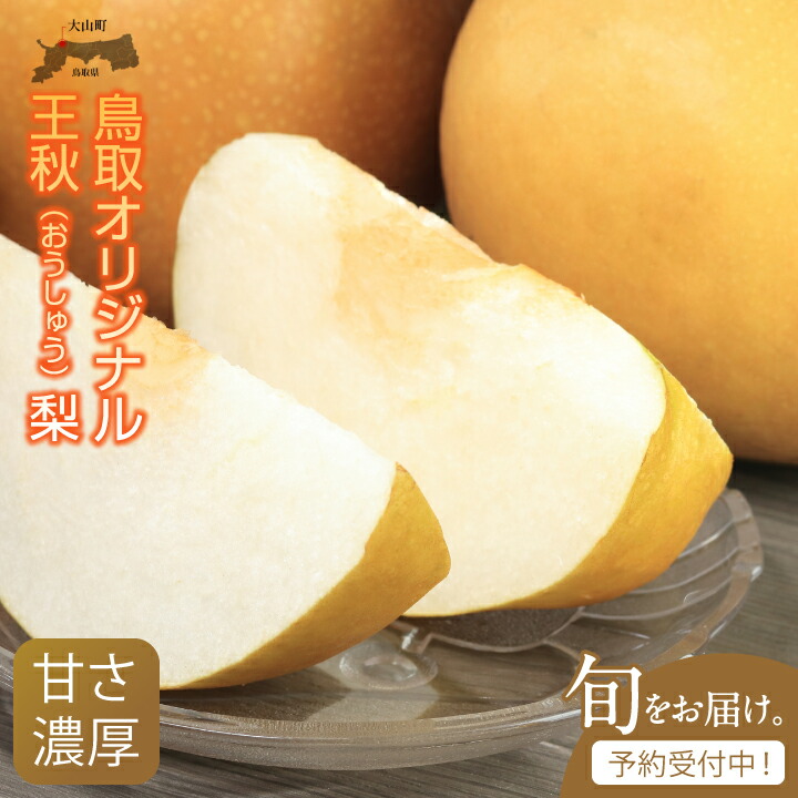 【ふるさと納税】王秋（おうしゅう）梨（5kg）【発送10月中旬以降】DS-08 梨 なし オリジナル フルーツ 鳥取県 鳥取県産 大山町 大山 お土産 返礼品  国産 お取り寄せ ご当地