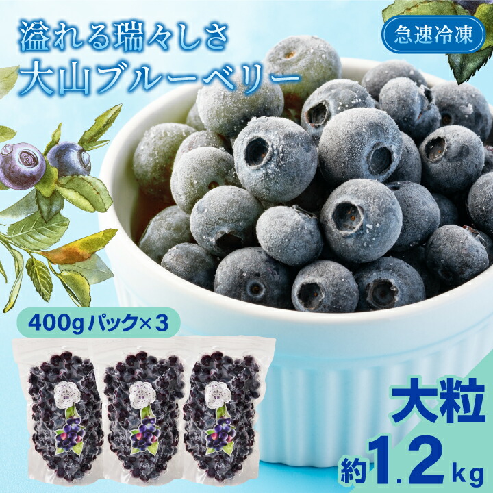 【ふるさと納税】MS-30　冷凍ブルーベリー1.2kg      400ｇパック×3 美味しい 真空パック 新鮮 シャーベット 鳥取県 鳥取県産 大山町 大山 お土産 返礼品  国産 お取り寄せ ご当地