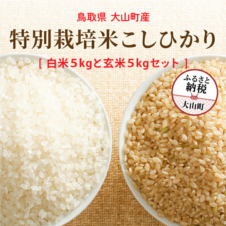 【ふるさと納税】MR-15 減農薬・減化学肥料 特別栽培米こしひかり「白米」と「玄米」のセット10kg（各5kg 計10kg） 鳥取県 鳥取県産 大山町 大山 大入り 料理 国産 鳥取 コシヒカリ こしひかり 大山産｜鳥取県大山町