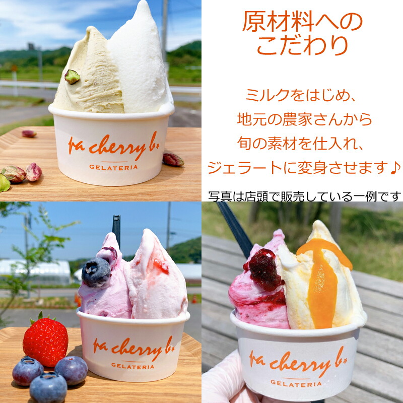 ふるさと納税 夏季減す オリジナルジェラート6型12個料足 Geo2 Co Uk