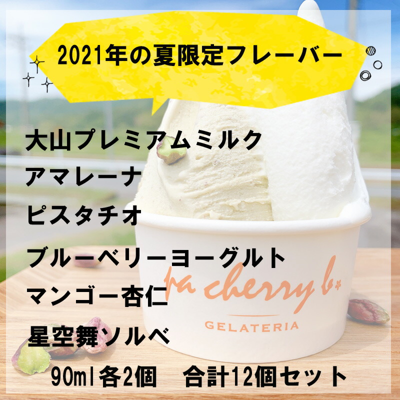 ふるさと納税 夏季減す オリジナルジェラート6型12個料足 Geo2 Co Uk