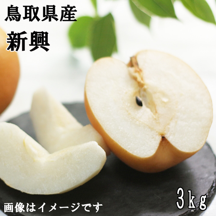超可爱の 鳥取県産 新興 梨 3kg箱 10月 出荷予定 Fucoa Cl