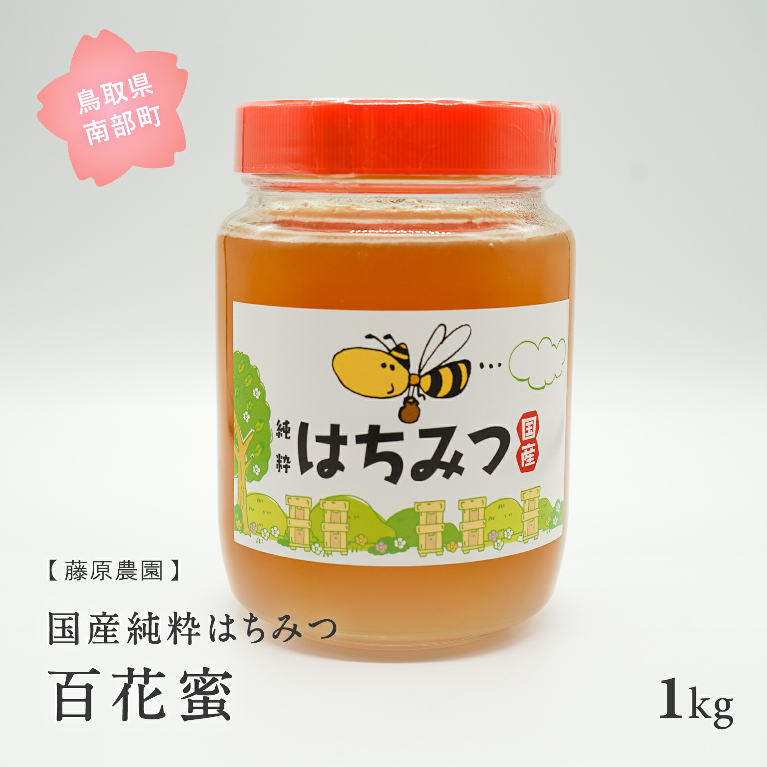 【ふるさと納税】里地・里山のめぐみ　[ハチミツ1kg(百花蜜)]　鳥取県産純粋ハチミツ はちみつ 蜂蜜 ハチミツ 国産 鳥取県南部町