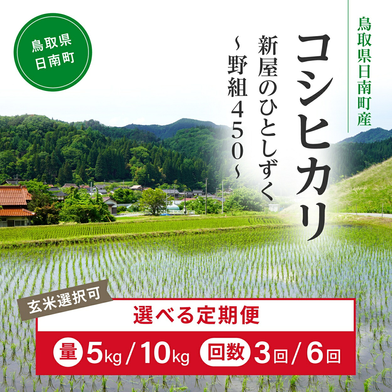 【ふるさと納税】令和8年産 新米 先行予約 鳥取県日南町産コシヒカリ 定期便 5kg 10kg 3か月 6か月 新屋のひとしずく ～野組450～ 米 お米 おこめ 精米 こしひかり