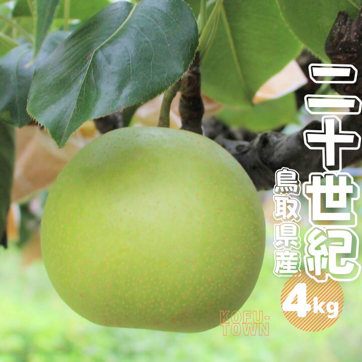 【ふるさと納税】梨 二十世紀 秀 約4kg 9～18玉前後 鳥取県産 先行予約受付 2025年秋収穫分 なし 4キロ TM37 0692