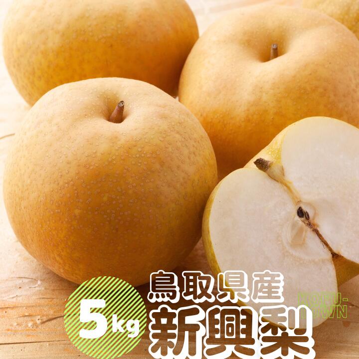 【ふるさと納税】新興梨 約5kg 6～18玉前後 先行予約受付 2025年秋冬収穫分 鳥取県産 ナシ しんこうなし 5キロ TM33 0689