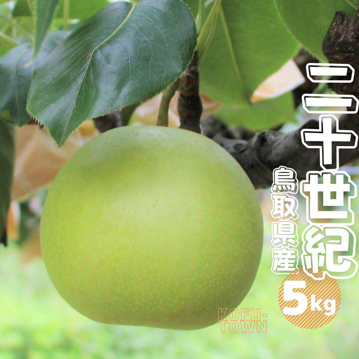 【ふるさと納税】梨 二十世紀 秀 約5kg 10～20玉前後 鳥取県産 先行予約受付 2025年秋収穫分 なし5キロ TM23 0679
