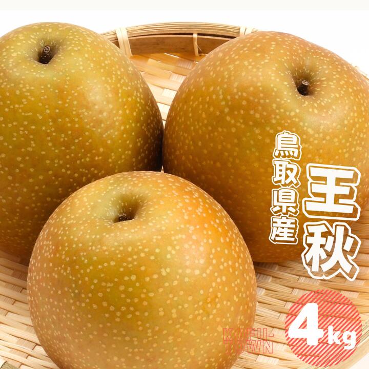 【ふるさと納税】王秋 梨4kg 4～13玉前後 鳥取県産 先行予約受付 2025年秋冬収穫分 なし 4キロ TM40 0695